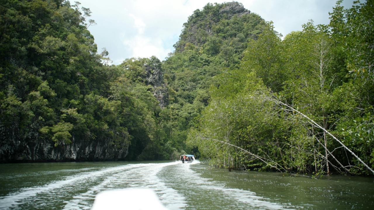 Mangrove Private Tour – Package B – Large Boat
